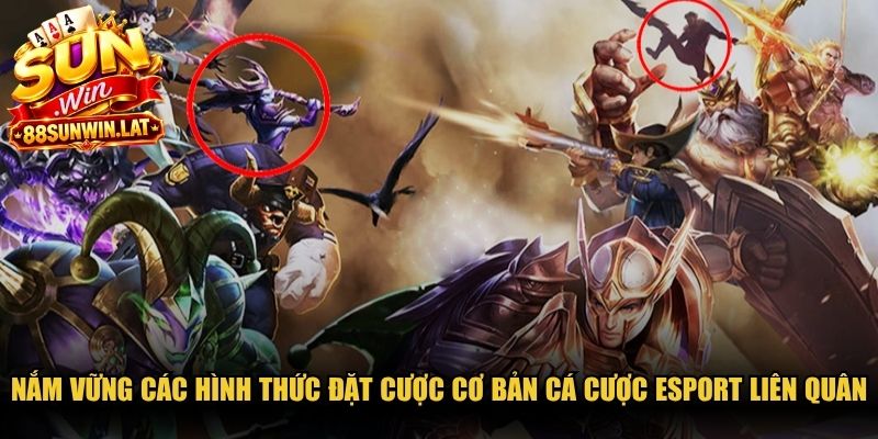 Nắm vững các hình thức đặt cược cơ bản cá cược Esport Liên Quân 